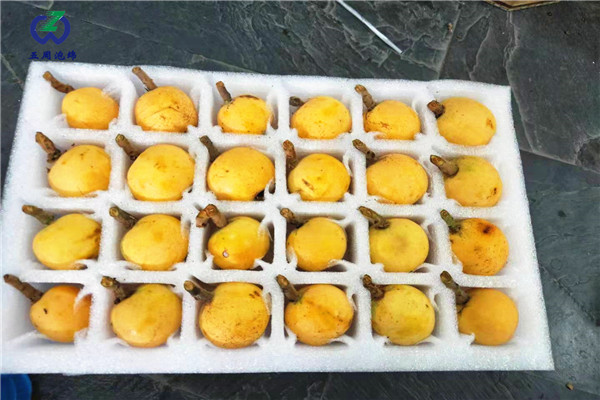 防止水果運輸霉變，用珍珠棉水果托就對了