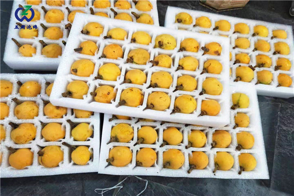 常見的水果內托定做材料是什么？